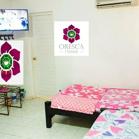 Pensión De Indias - Barrio Crespo Cartagena